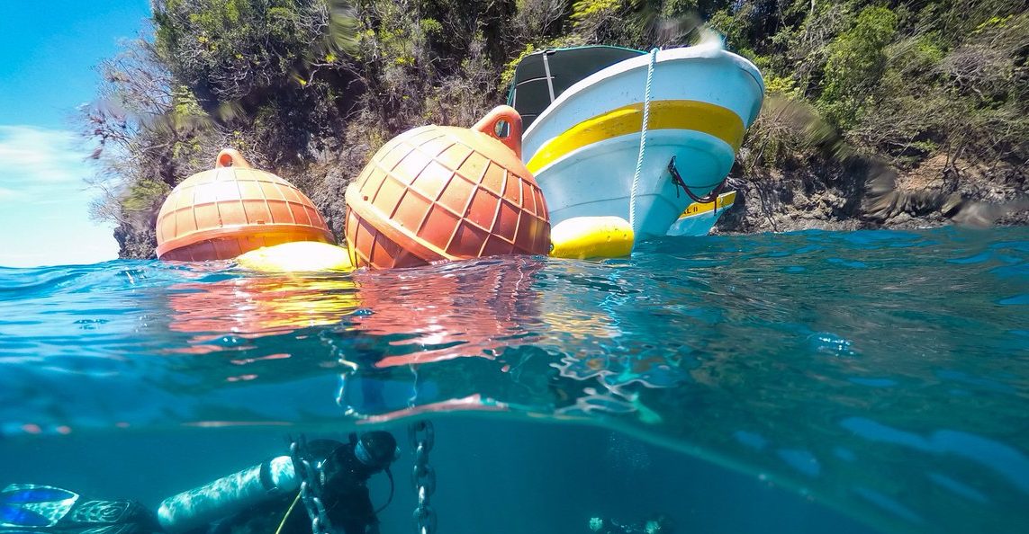 Rescate de Anfibios en Panamá