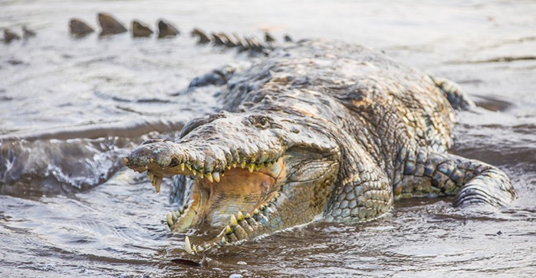 Coiba National Park Panama